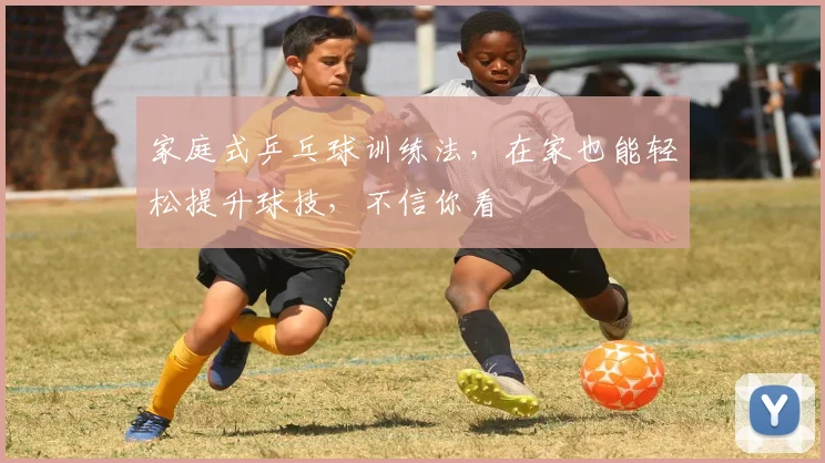 家庭式乒乓球训练法，在家也能轻松提升球技，不信你看